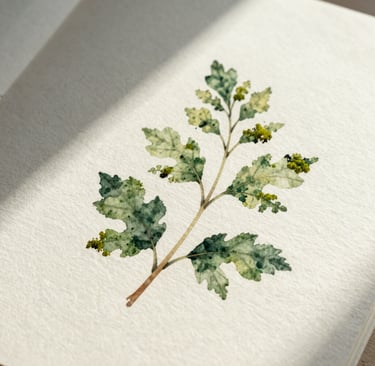 A minimalist, high-detail photograph of a single delicate botanical watercolor illustration on thick, creamy white textured paper. Soft natural morning light creates gentle shadows. The colors include deep forest green and soft moss accents. Serene and elegant composition.