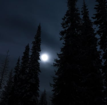 A full moon shining behind clouds above tall spruce trees at night.