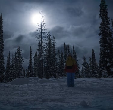 A person standing in the snow among tall spruce and pine trees, lit by a full moon.