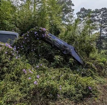 Abandoned excavator overgrown with flowers in the Vietnamese countryside