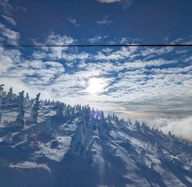 Snow-covered mountain ridge with frost-covered trees under bright sun and blue sky.