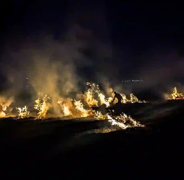 Farmers burning crop residue in rice fields at night in Noi An Vietnam