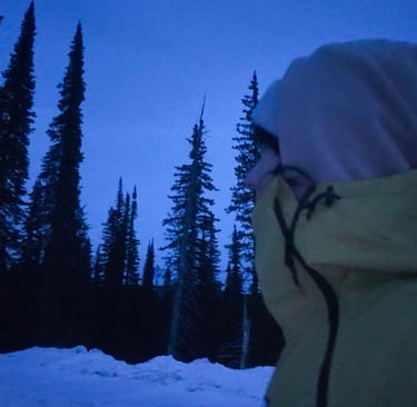 A girl wearing a winter jacket and beanie looking at a dark snowy pine forest at twilight.