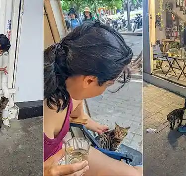 Petting friendly street cats during our travels in Vietnam