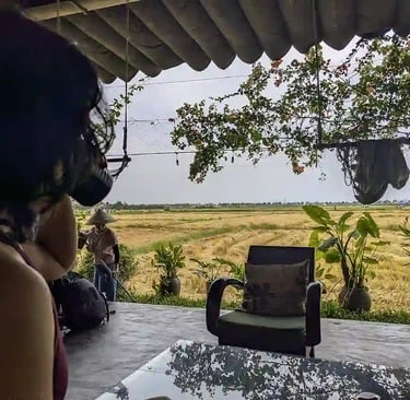 Working in a coworking space beside rice fields in Hoi An Vietnam