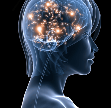 Illustration de la communication entre le cerveau et les hormones