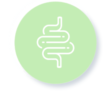 illustration logo microbiote cecilia tetard 