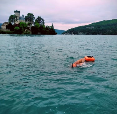 mires association lac d'annecy