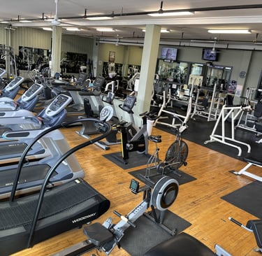 our cardio corner with a view of the cybex