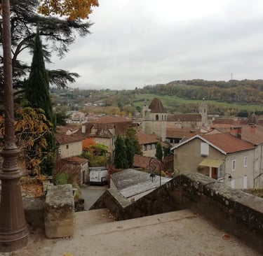 photo en hauteur du vieux Figeac, maison avec toits en tuiles, colline verte arborée