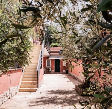 Viale alberato di accesso agli alloggi immerso nel verde