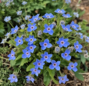 Bright living room with modern inventory