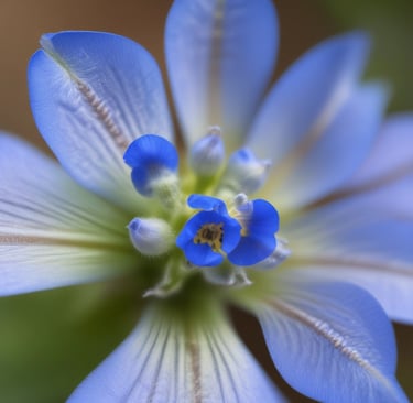 Bright living room with modern inventory