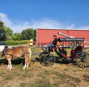wagon ride