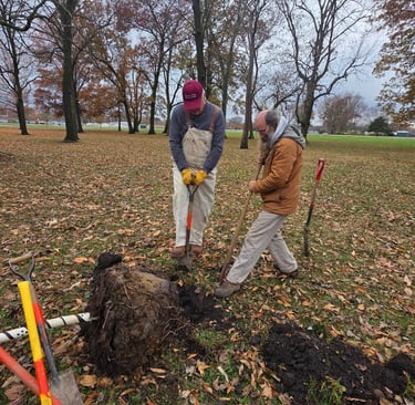 Dan & Rodney planting tree