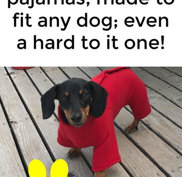 dachshund wearing red fleece dog pajamas standing on a deck