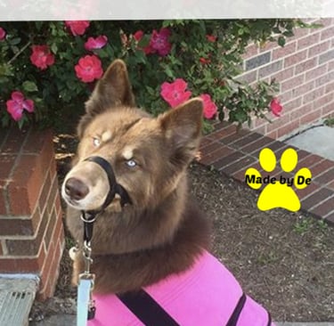 A brown dog wearing a custom pink dog cool coat from Made by De to stay cool in summer.