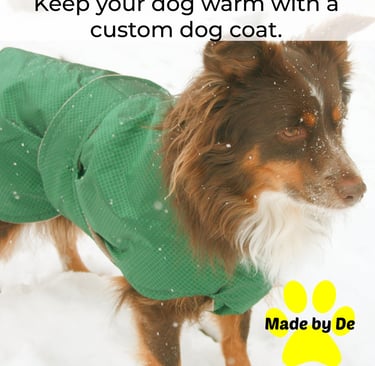 Australian Shepherd wearing a custom green dog coat in the snow for winter warmth.