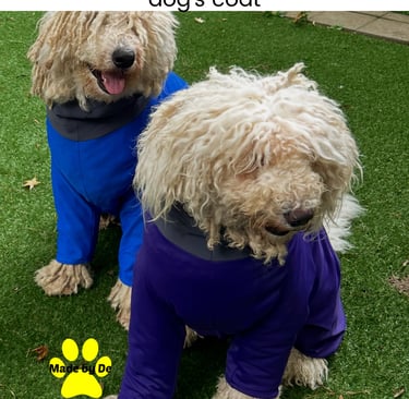 Two long-haired dogs wearing blue and purple protective grooming suits on grass.