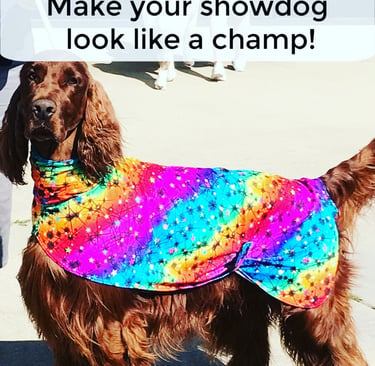 Irish Setter wearing a colorful dog grooming slinky