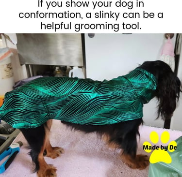 A dog slinky on a Cavalier King Charles Spaniel