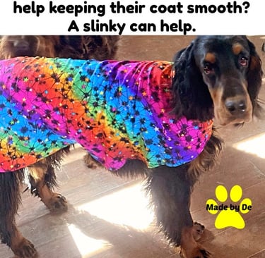 A long-haired Gordon Setter wearing a colorful rainbow dog slinky coat to keep fur smooth and tangle-free.
