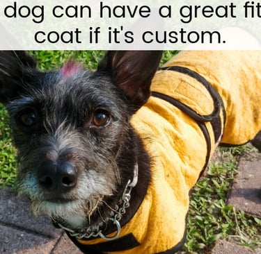 A custom dog coat on a small terrier