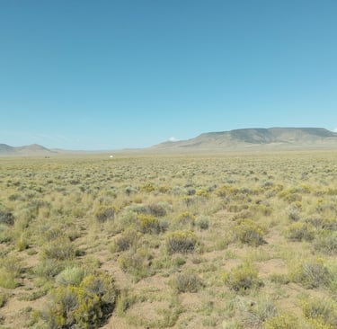 a field with a mountain in the background
