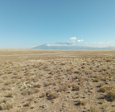 a field with a mountain in the background