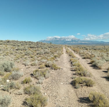 a dirt road with a dirt road and mountains in the background