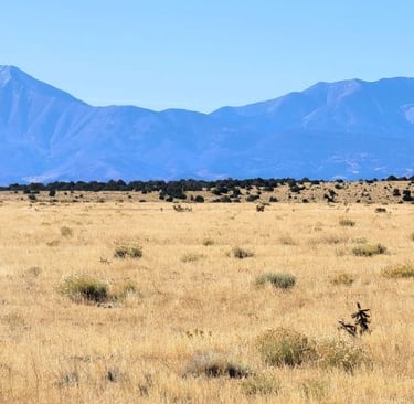 horses in the wild with mountains in the background