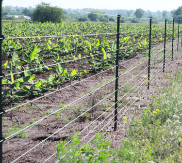 ELECTRIC FENCING USING INSULATORS/ JHATKA  MACHINE