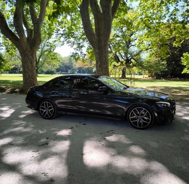 Mercedes E-Class With Driver Professional