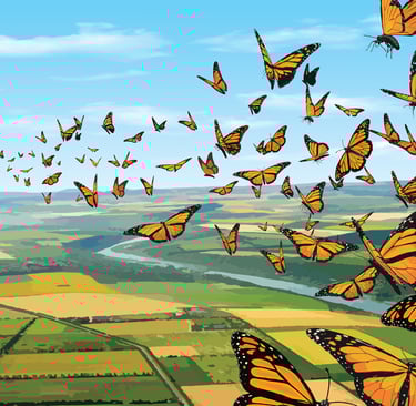 “Scenic landscape filled with monarch butterflies flying over fields — nature-themed children’s illustration.