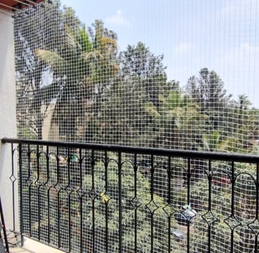 Technician carefully fitting a pigeon net frame on a window in a residential building.