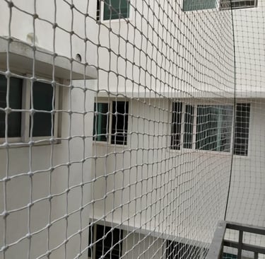 Wide shot of a commercial building's exterior wrapped with protective pigeon netting by Arjilli Ente