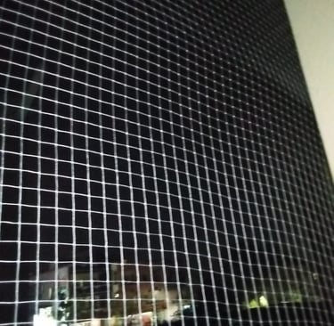 View of a pigeon net installation blending seamlessly with the building’s exterior in Kodambakkam.