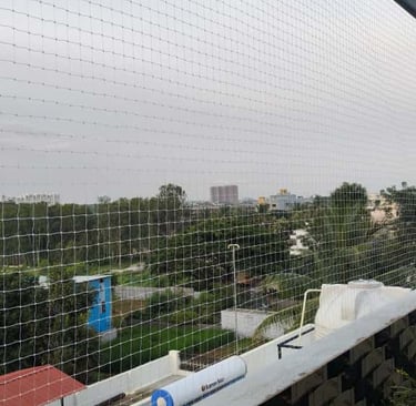 Wide shot showing a large window covered with a neatly fitted anti-pigeon net.