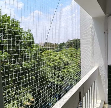 Technician installing a durable pigeon safety net on a window frame in a bright afternoon in Chennai