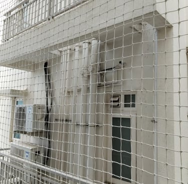 Installation team fitting pigeon nets on a commercial property along OMR, Chennai, demonstrating pro