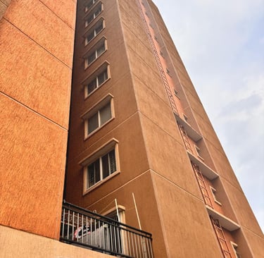 Wide shot of a commercial building's exterior wrapped with protective pigeon netting by Arjilli Ente