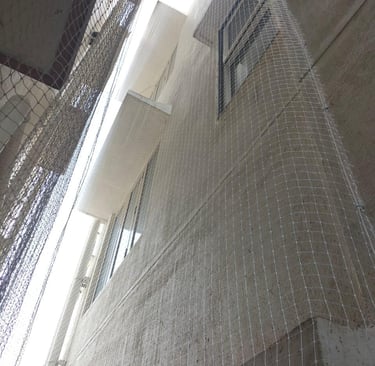 Wide shot of a residential building on OMR with pigeon nets covering all open windows and ledges.