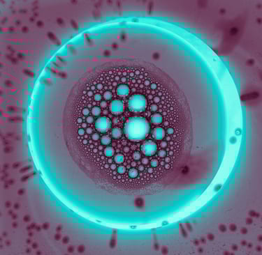 Proceso de regeneración biológica y homeostasis celular mediante luz y sonido