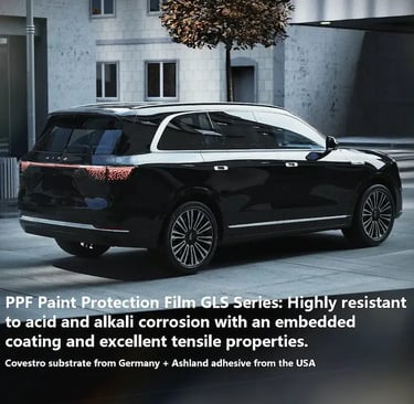 مورد WanSen لـ PPF بالجملة لشركات تزيين السيارات