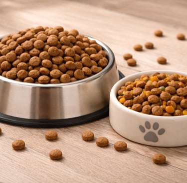 Croquetas de perro y gatos servidos en platos