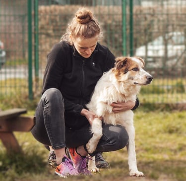 Ostéopathe pour chien Belgique