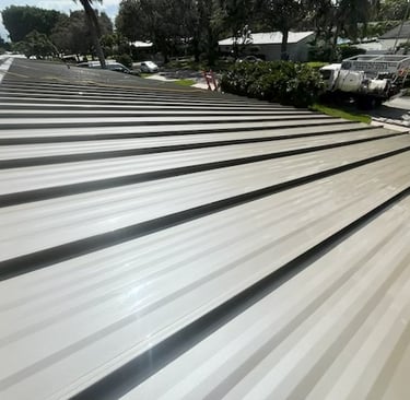 metal roof cleaning oakalnd park fl 