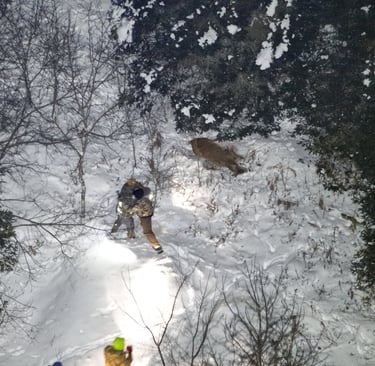 An aerial view of hunters tracking a deer in a snowy forest landscape at night using flashlights.