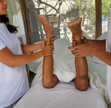 wellness training and massage education
