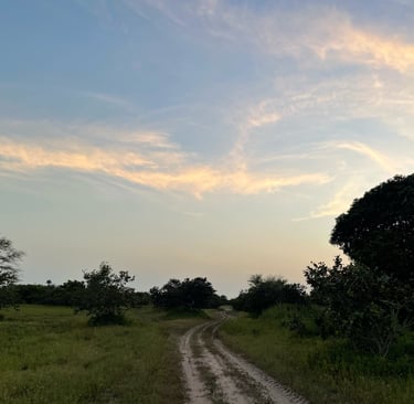 Paysage du village de Kachiouane où l'on peut observer un ciel magnifique et la verdure dense